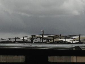 A Chinese detainee protested on Villawood Detention Centre Rooftop (Photo credited to Refugee Action Coalition)